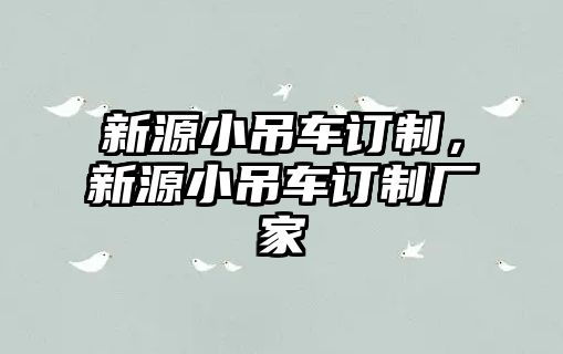 新源小吊車(chē)訂制，新源小吊車(chē)訂制廠(chǎng)家