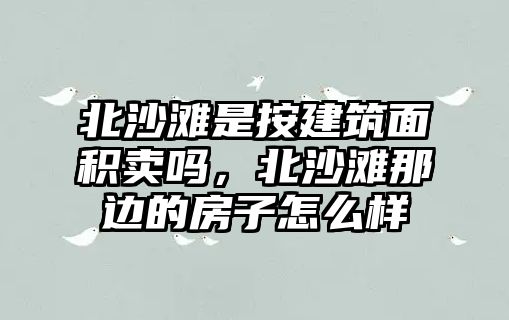 北沙灘是按建筑面積賣嗎，北沙灘那邊的房子怎么樣