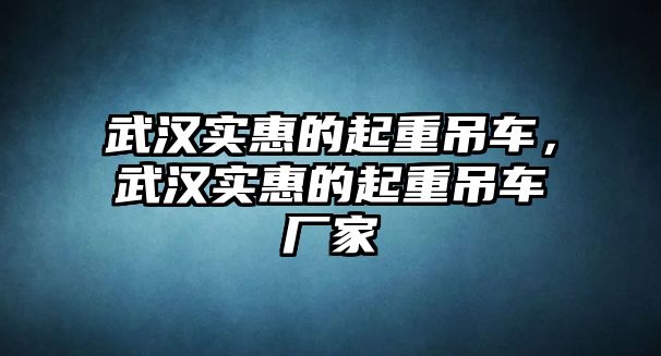 武漢實(shí)惠的起重吊車，武漢實(shí)惠的起重吊車廠家