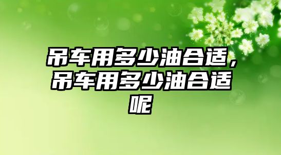 吊車用多少油合適，吊車用多少油合適呢