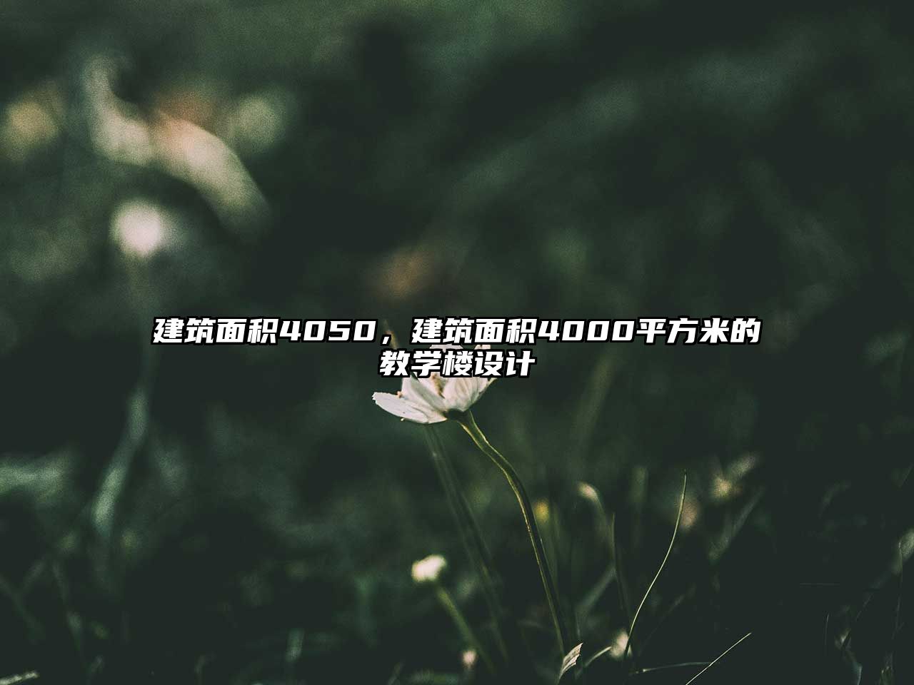 建筑面積4050，建筑面積4000平方米的教學樓設計