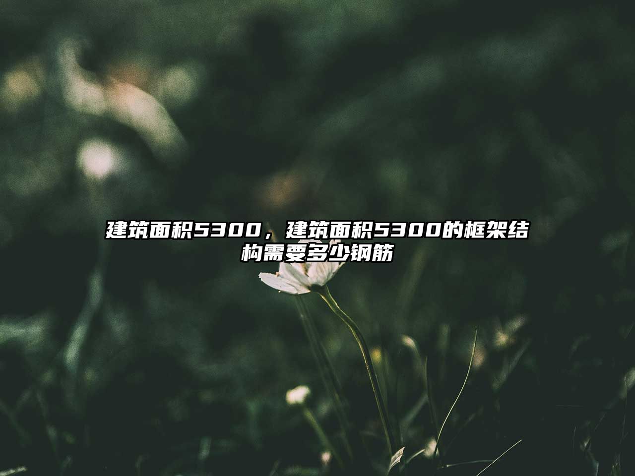 建筑面積5300，建筑面積5300的框架結構需要多少鋼筋
